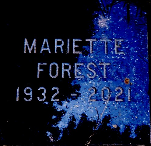 plaques\lot772_5.jpg